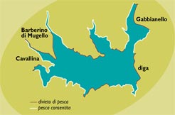 Dove pescare nel Lago di Bilancino