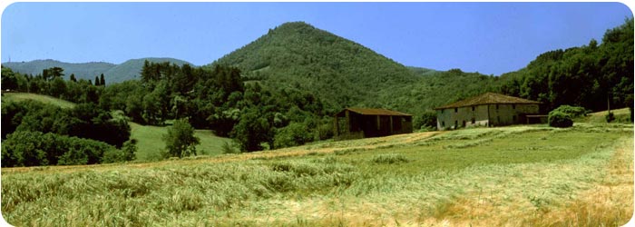 cover-natura