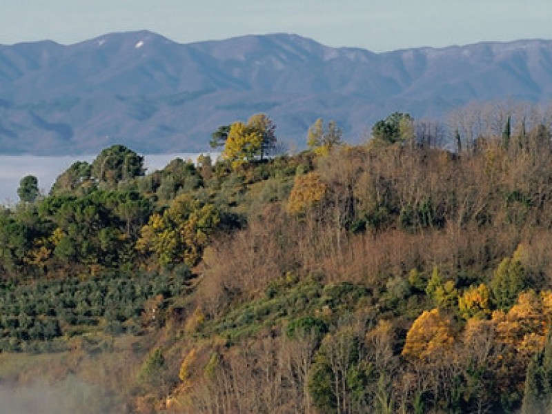 nebbia08